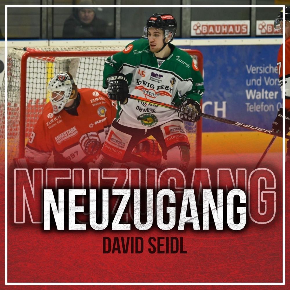 David Seidl wechselt zu den Passau Black Hawks